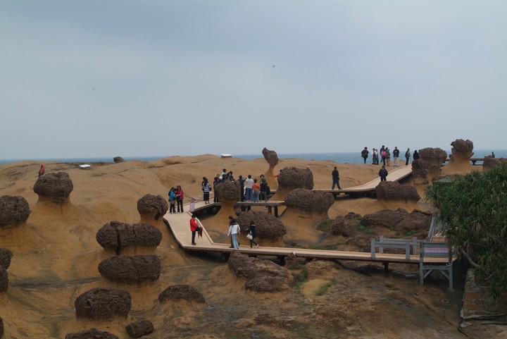 Scenics