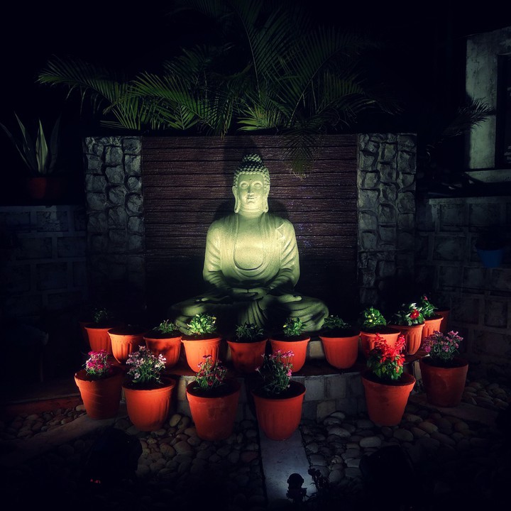 Budhha