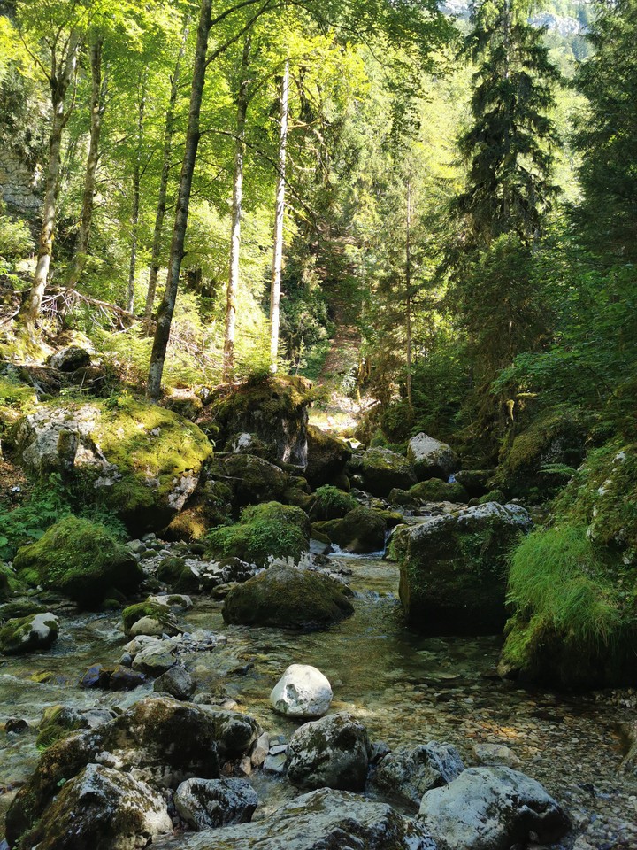 La nature est trop belle