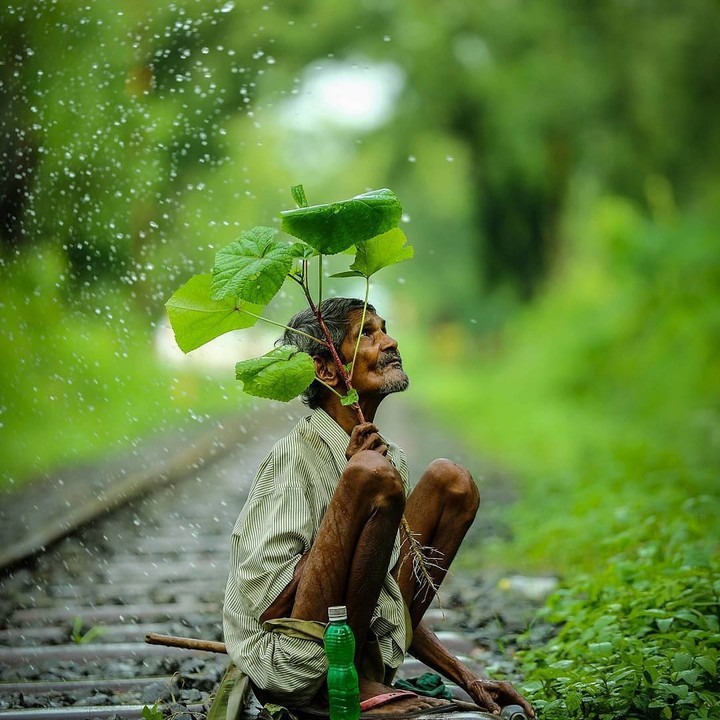 Rain