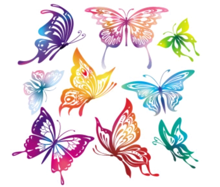 papillons multicolores