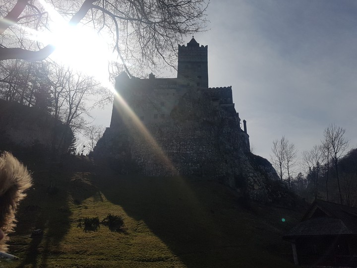 Dracula's castle