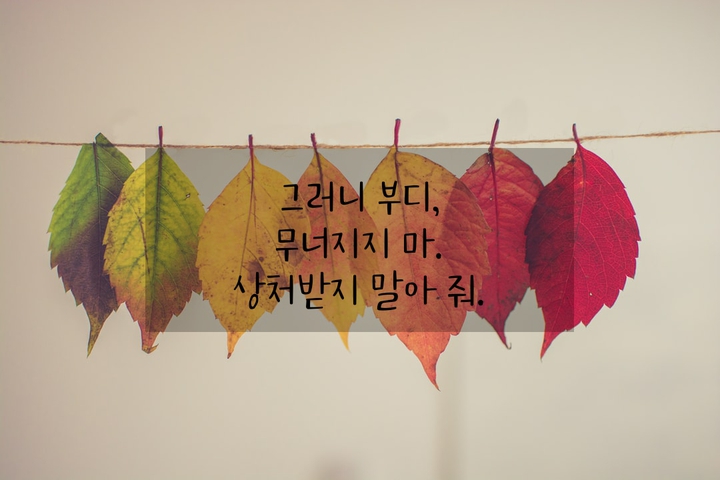 상처받지 말아줘