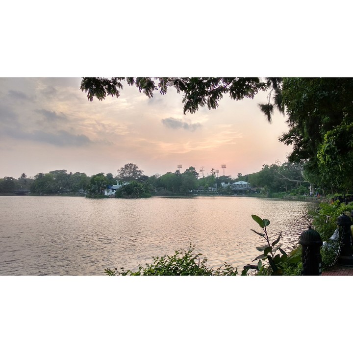 Nature canvas