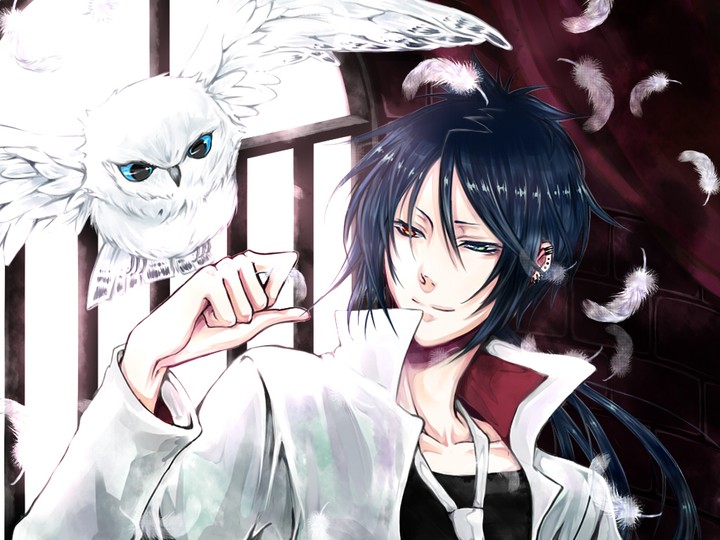 Reborn