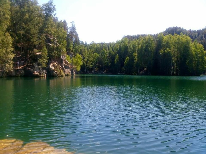 widok