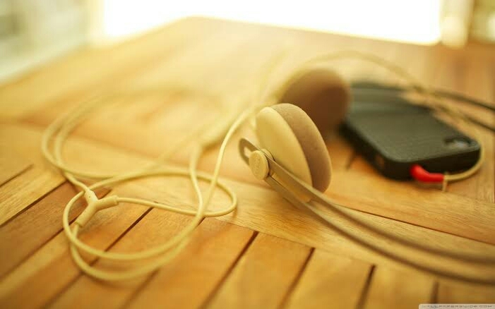 Music Lover