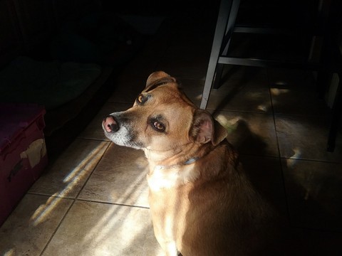 Tucker
