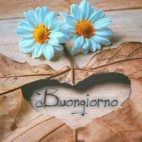 Goodmorning