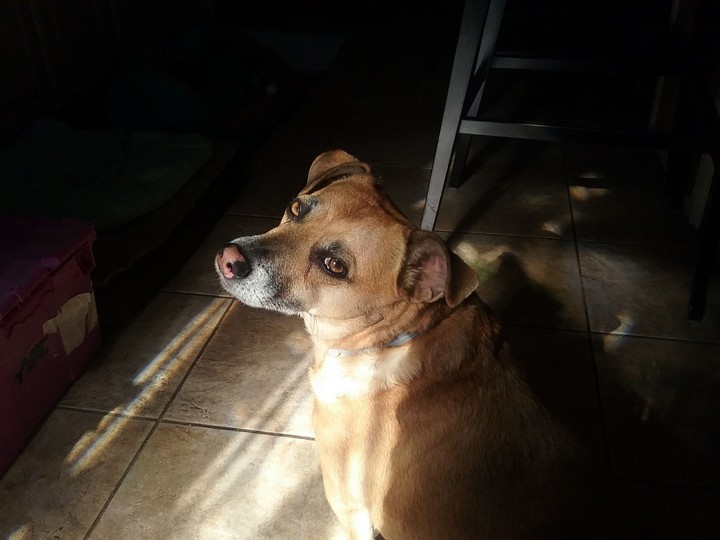 Tucker