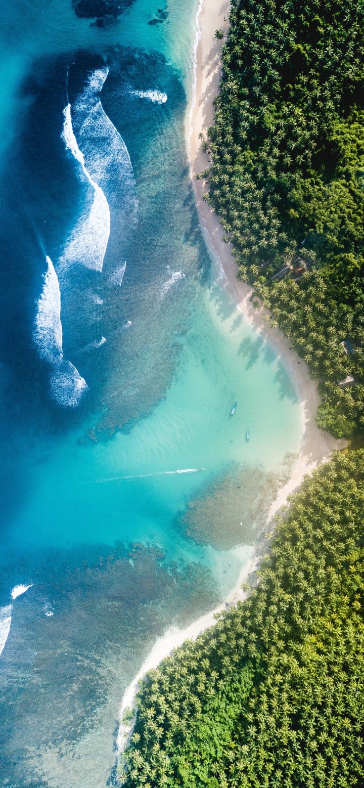 Sea