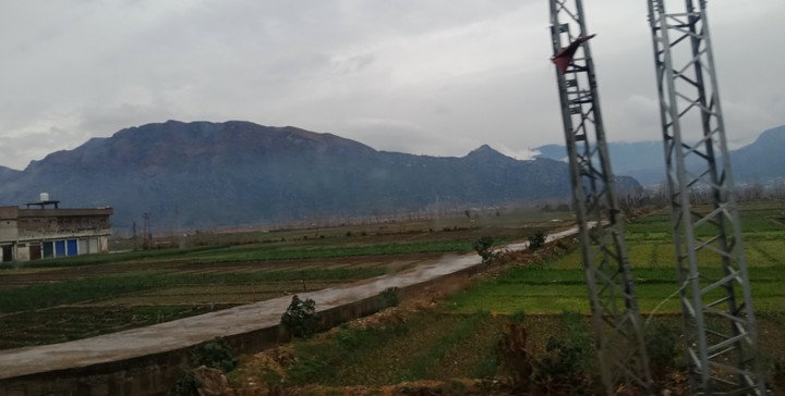 maingora... swat