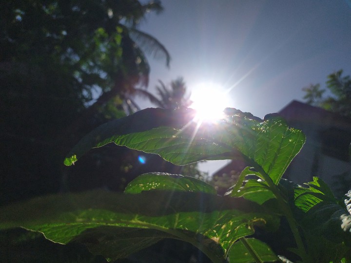 sunshine