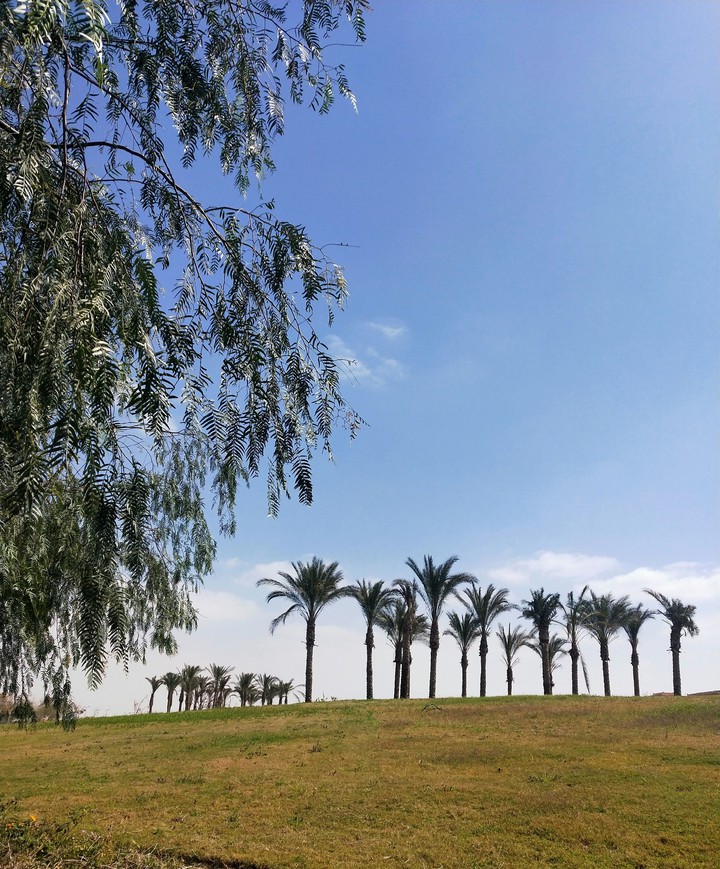 greenery