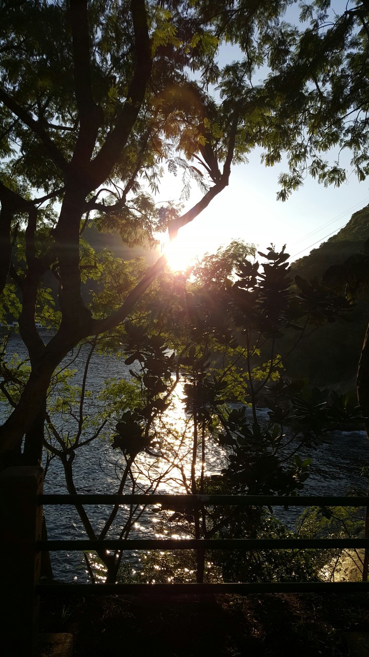 sol