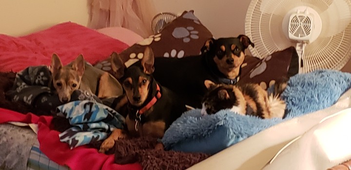 Sleepy babies