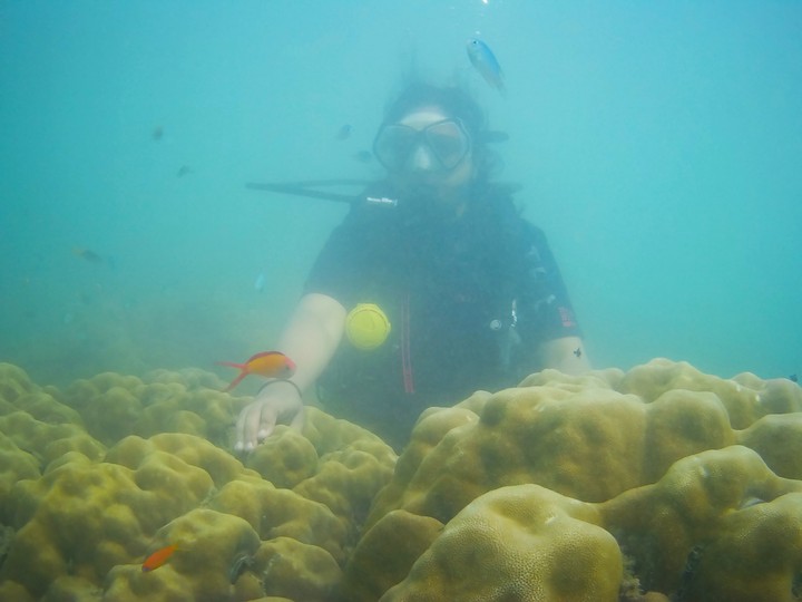 Me doing Scuba diving ?