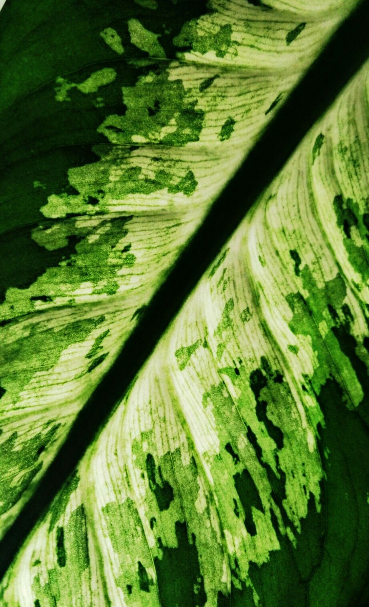 make me green