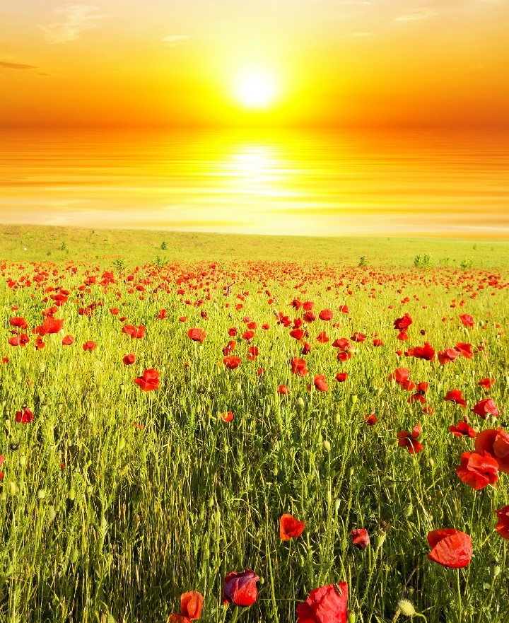 good morning