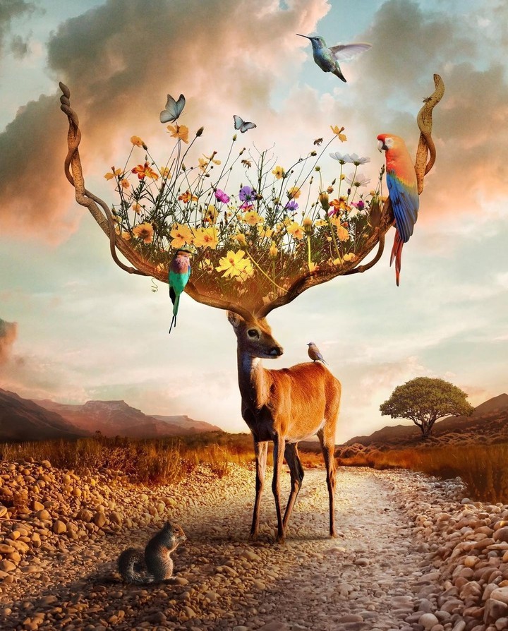this fantastic world ...