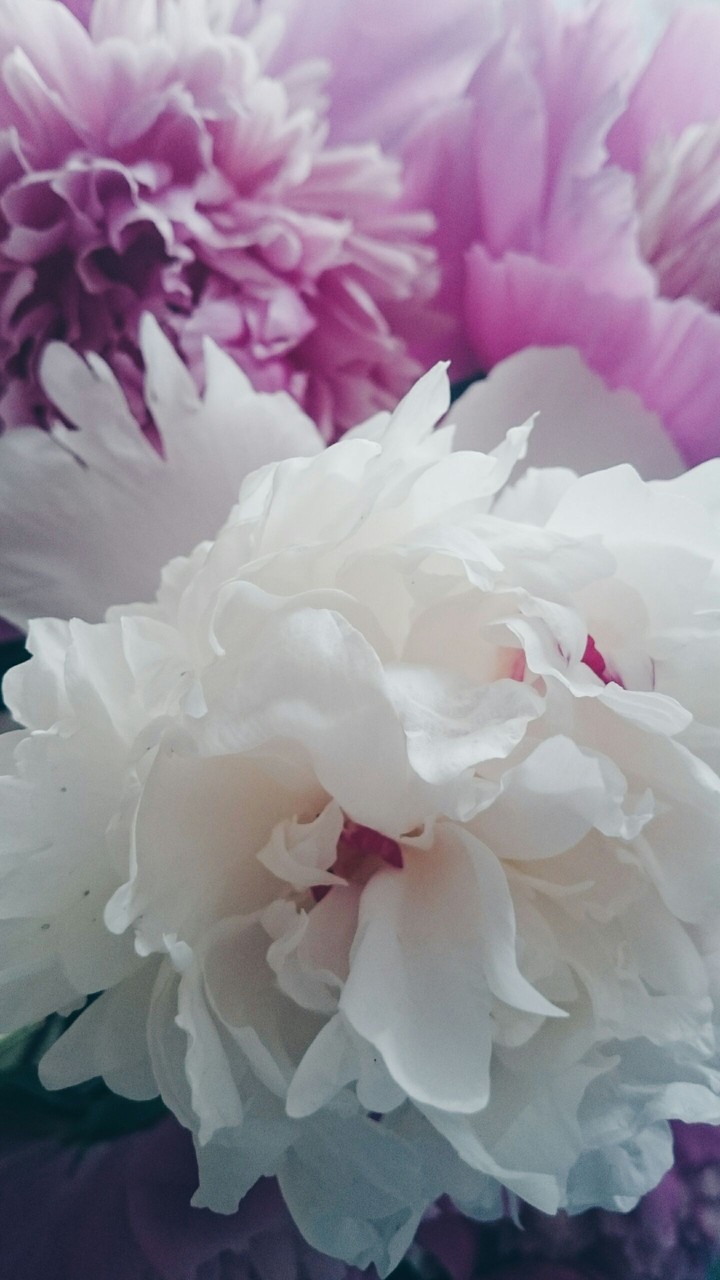 Pink and white inspirations
