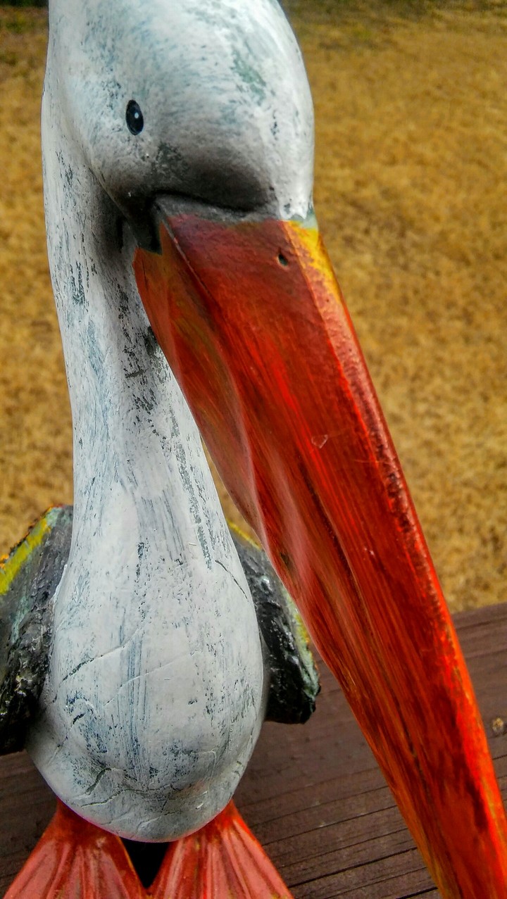 fake duck