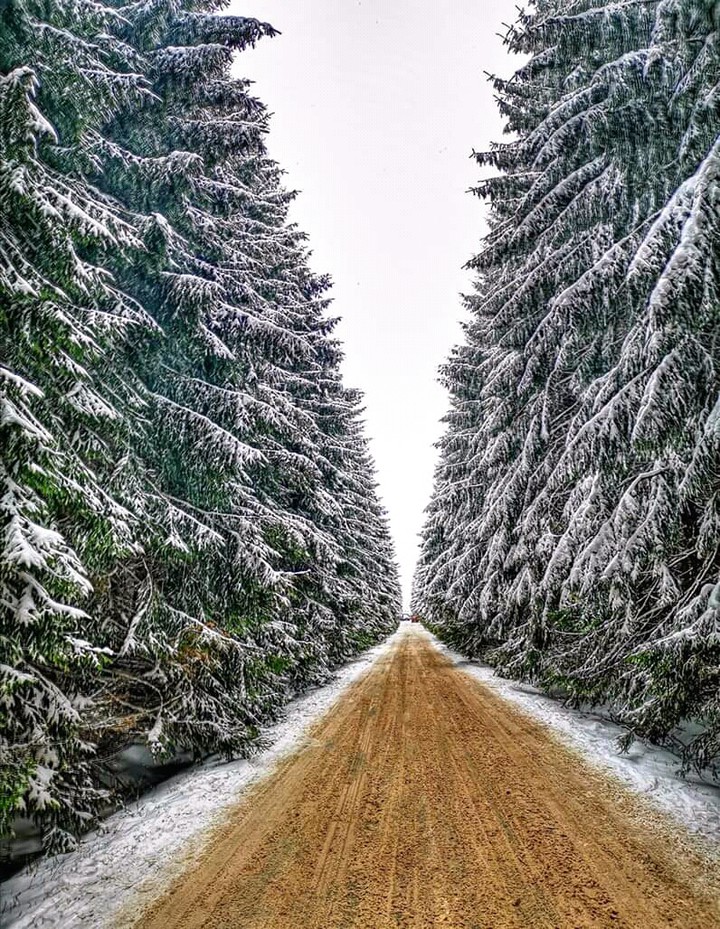 winter road