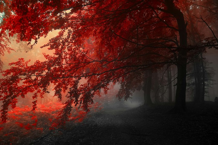 autumn