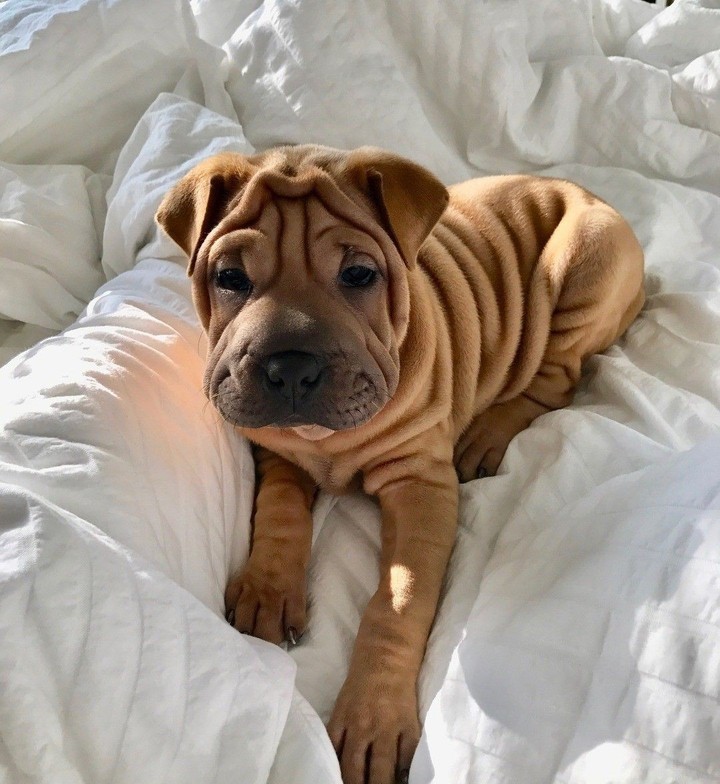 ♥️♥️♥️