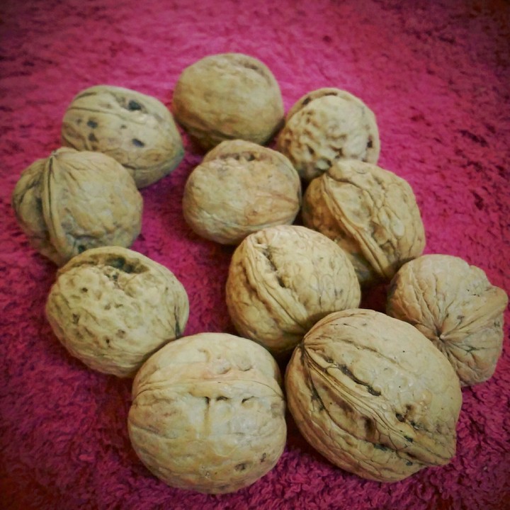 walnuts .....just nuts