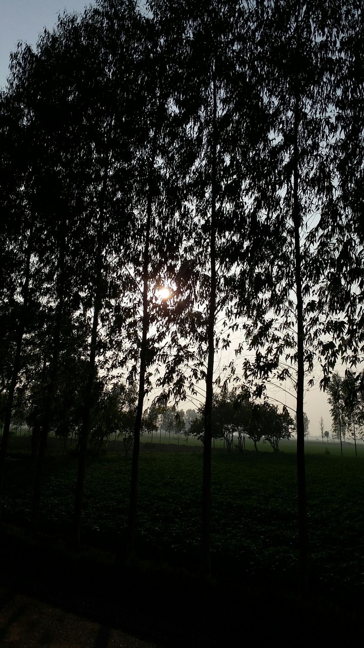 Not a sunset.. Midday
