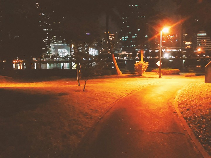L I G H T