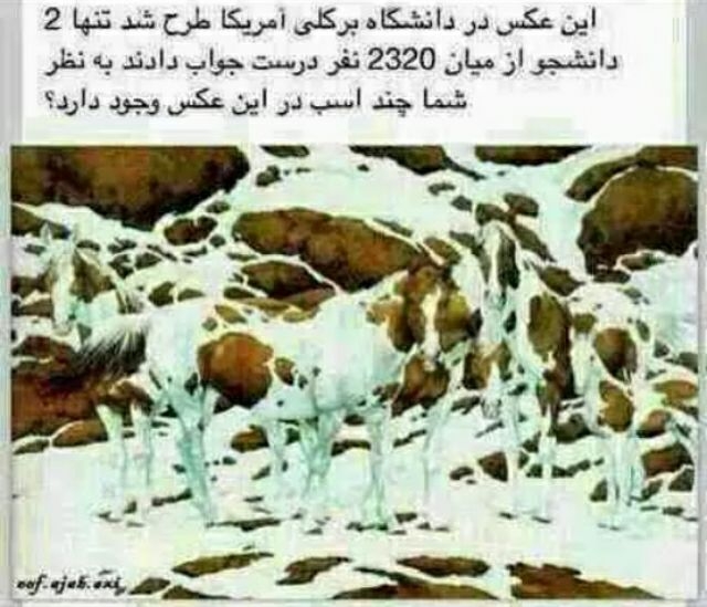 تست هوش