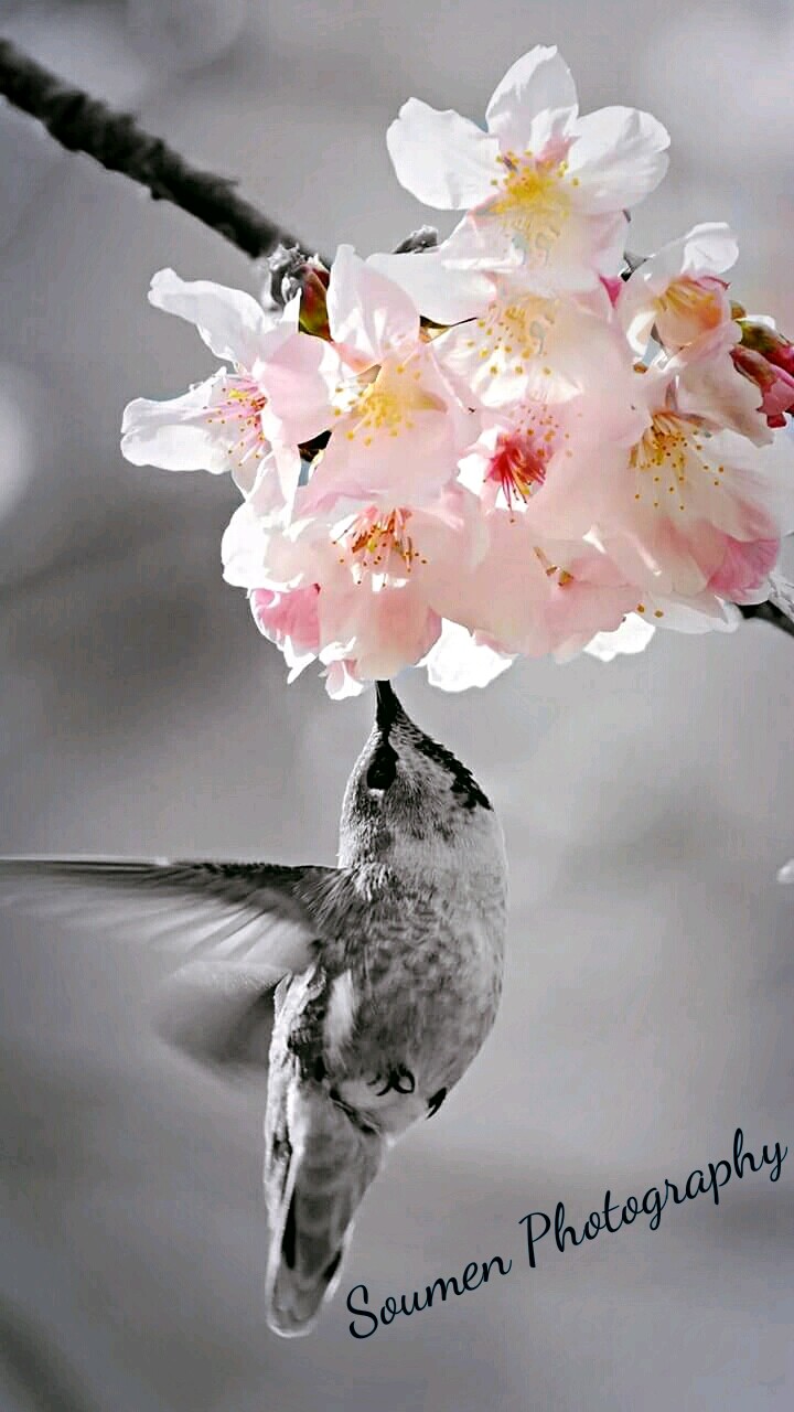 Amazing,Black and white photography