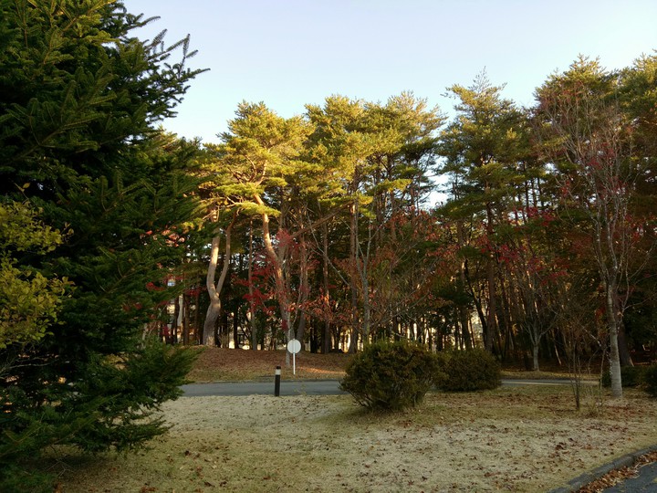 Tokyo