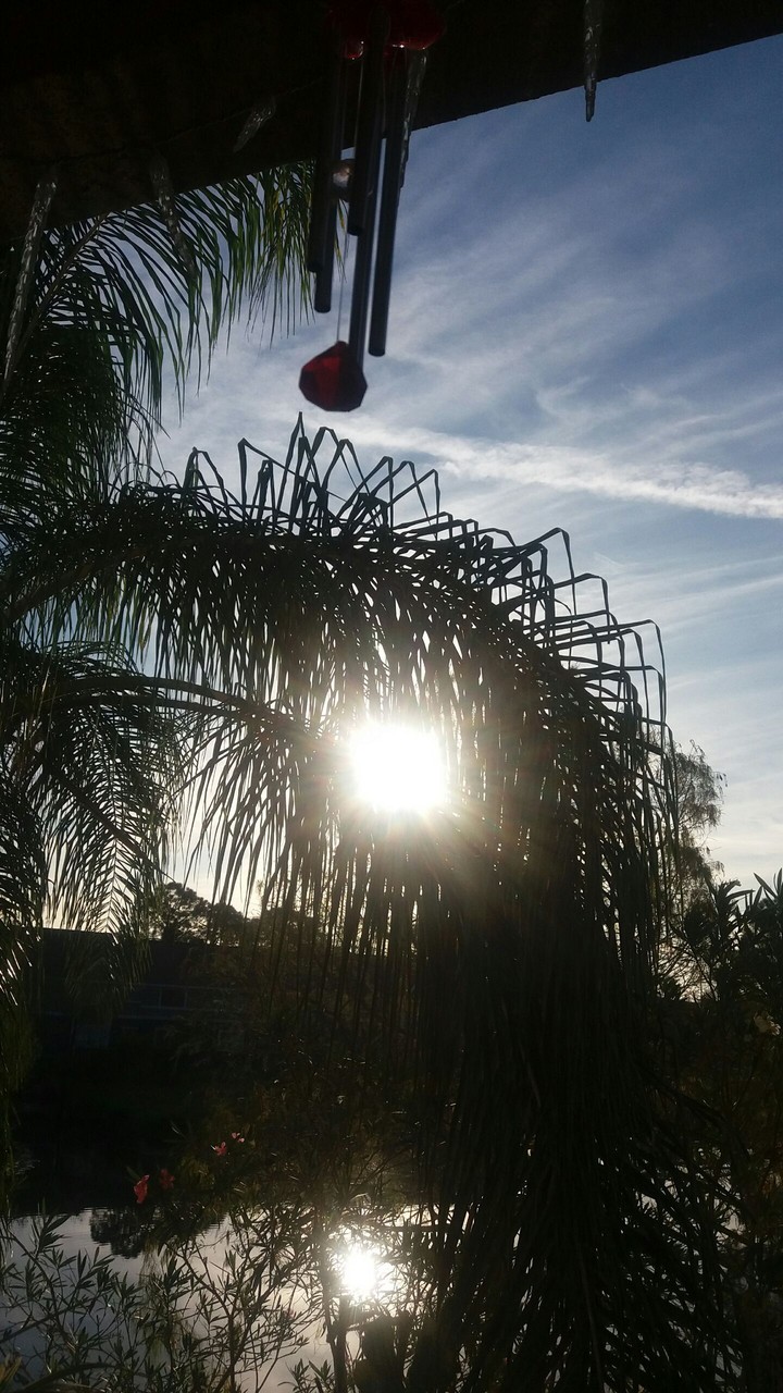 Morning View 2