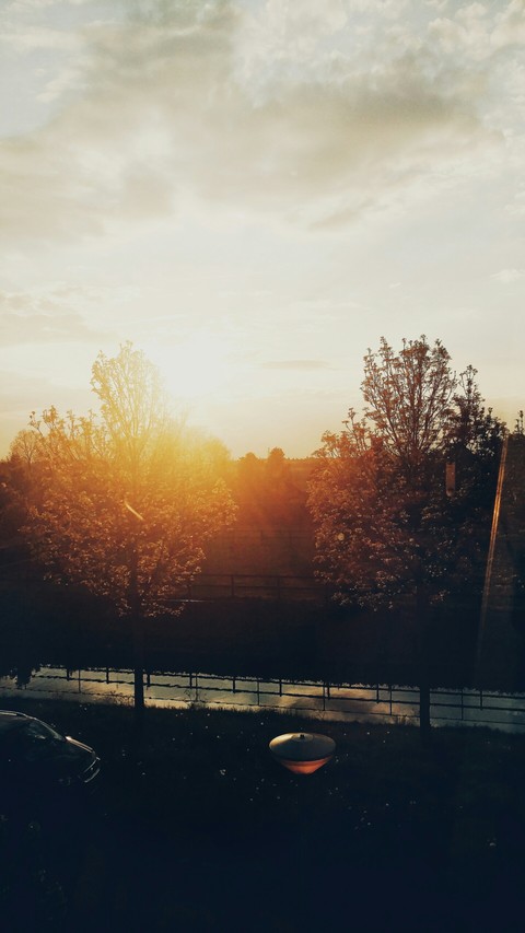 the sun is shining