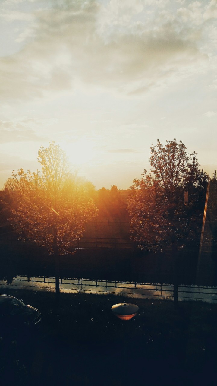 the sun is shining