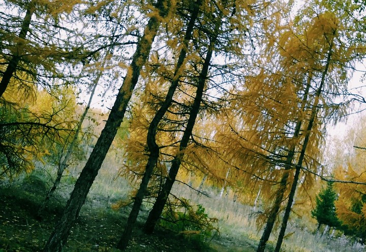 парк