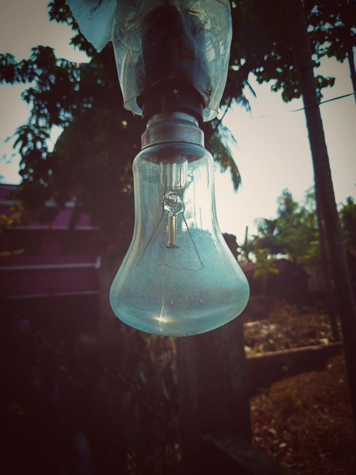 A bulb