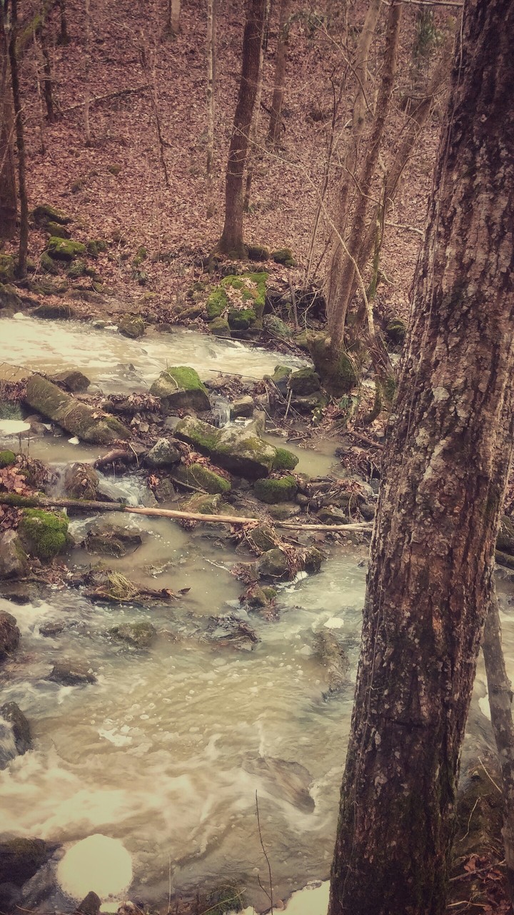 Tennessee