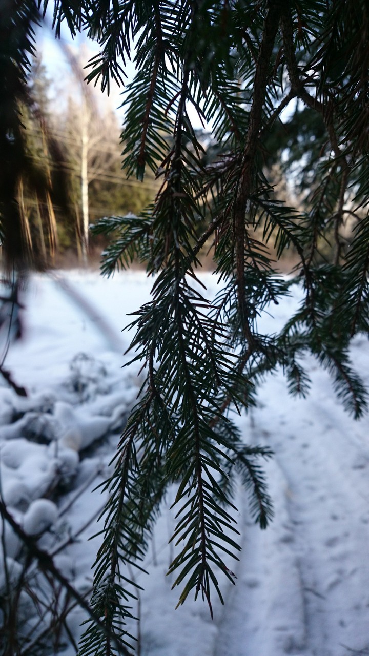 Hidden