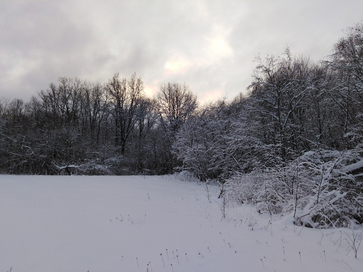 Ruswinter