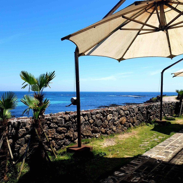 summer in jeju