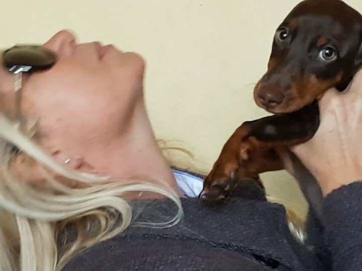 meu amigo toby