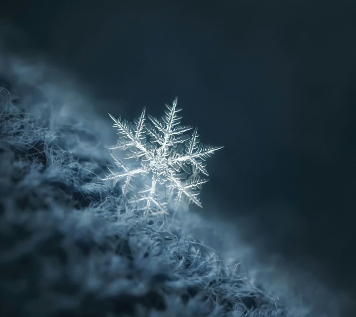 Snow flakes