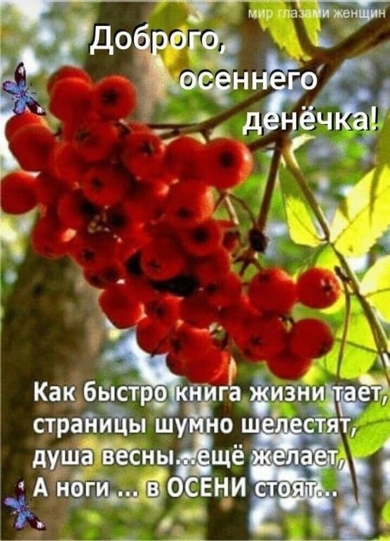 книга  жизни!