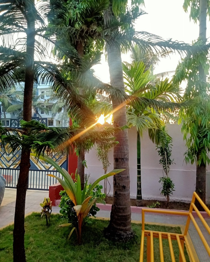 Sun set sun shine