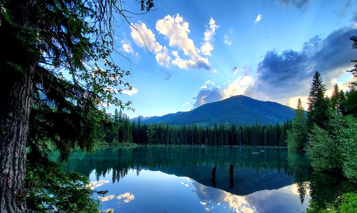 Reflection