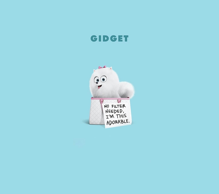 gidget